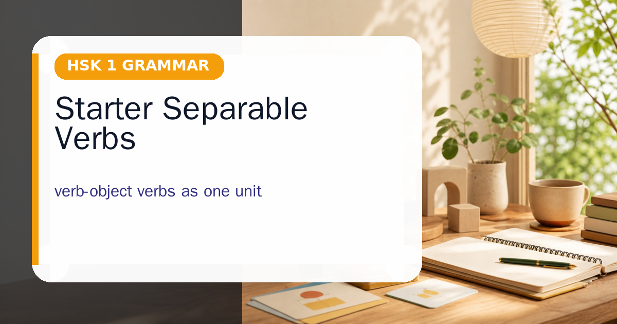 Starter Separable Verbs cover